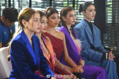 泰归女现象，多元观点下的深度探讨