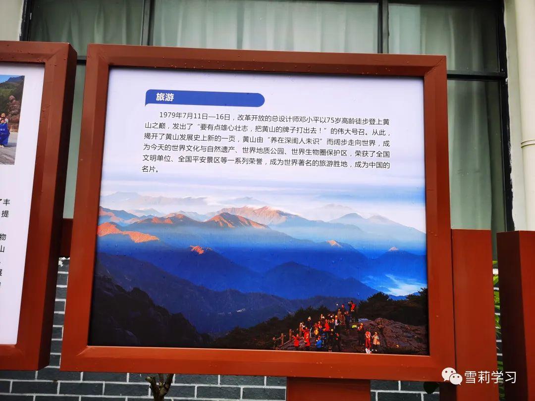 最新台风动态，探索自然美景的旅程受阻