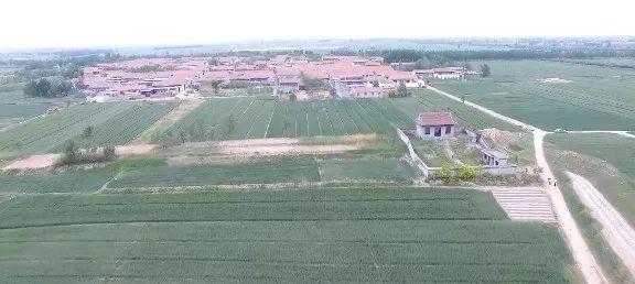 图书馆 第255页