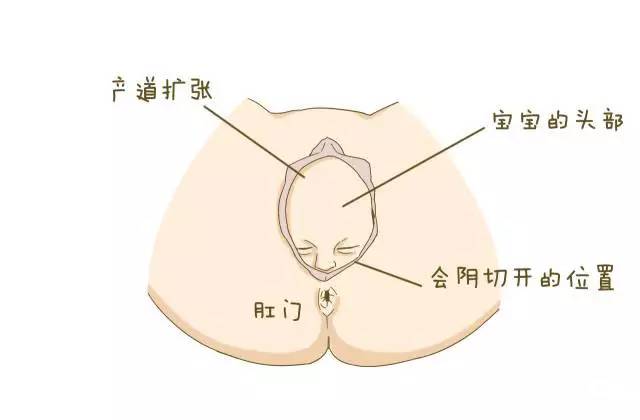 最新侧切有图慎入，自然美景的心灵之旅探索纪实