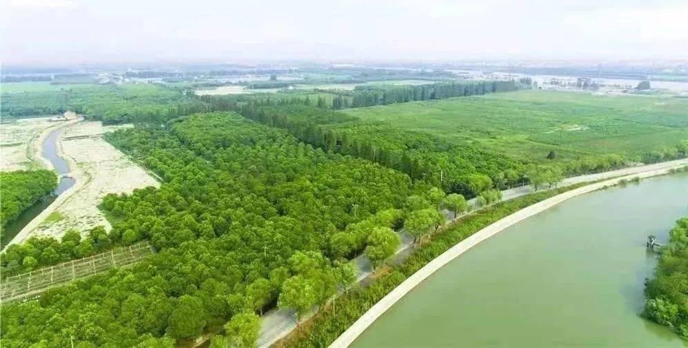 青浦郊野公园最新动态，绿色明珠的生态建设进展