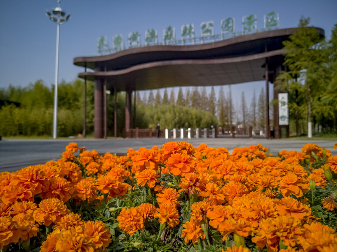 宣城丹桂园最新消息,宣城丹桂园最新消息，变化中的学习之旅，自信与成就感的源泉
