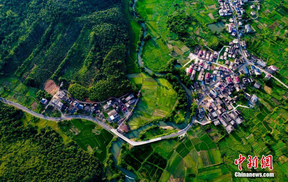 黑龙江张晶川最新动态，新时代地方发展的引领标杆