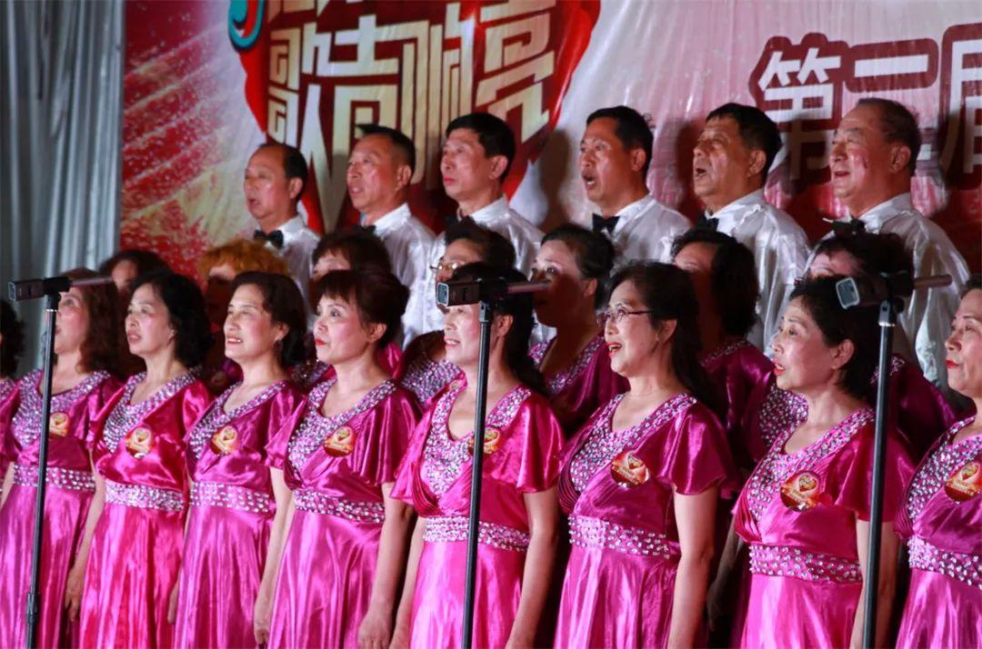 益安宁丸最新价格，小丸子的友情之旅与价格更新通知