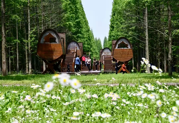 东台自然美景探索之旅，寻找内心的平和与宁静最新消息