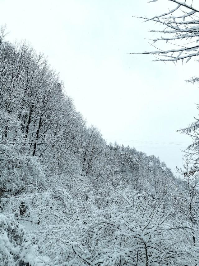 探索自然美景 第3页