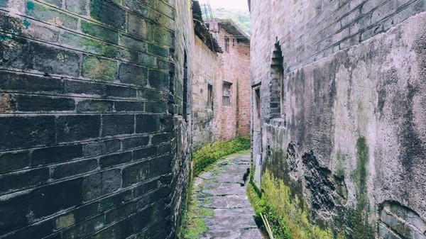 小巷深处的音乐宝藏，最新音乐探索之旅