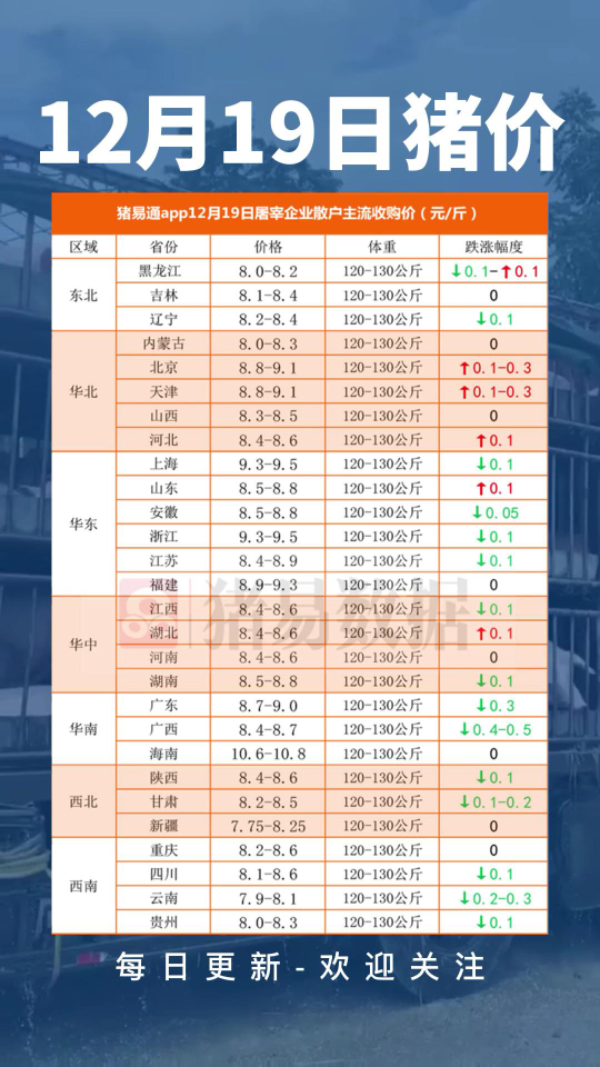 最新猪价行情及分析概述