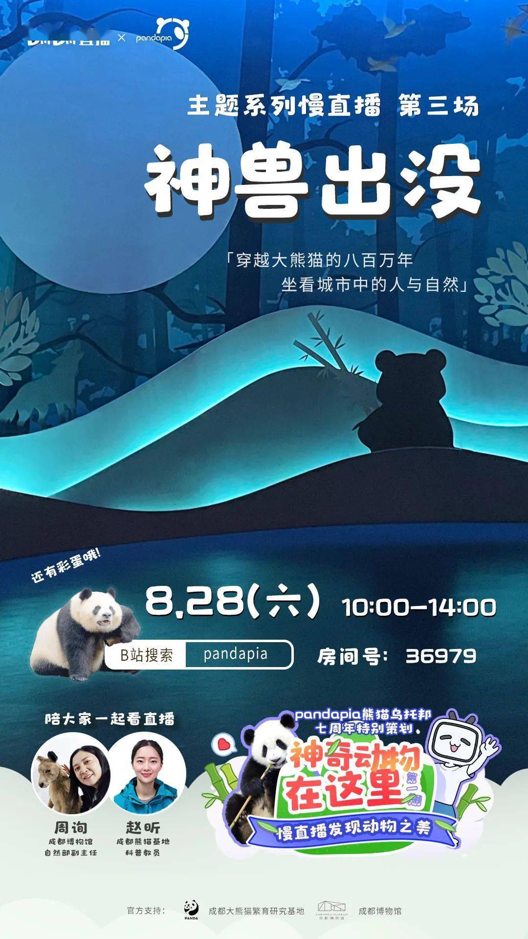 喜力直播最新版本，自然美景的治愈之旅，启程探索！