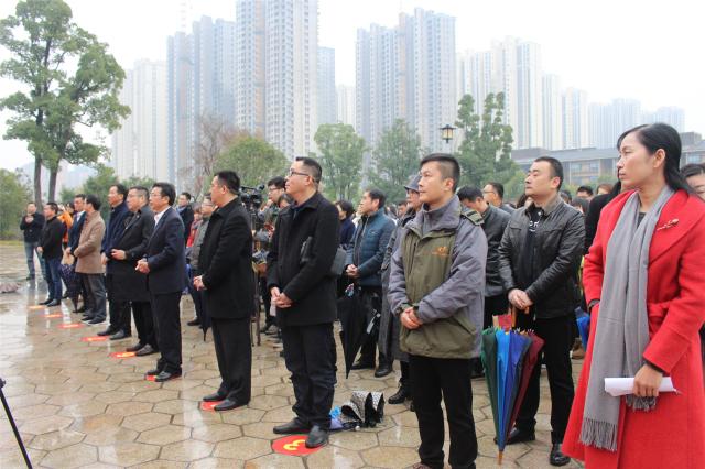 临澧红网最新动态，多元视角下的观察与解读