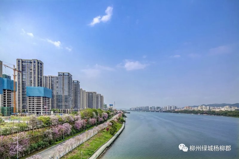 柳州杨柳郡，自然美景探索之旅，寻求内心平和宁静的旅程